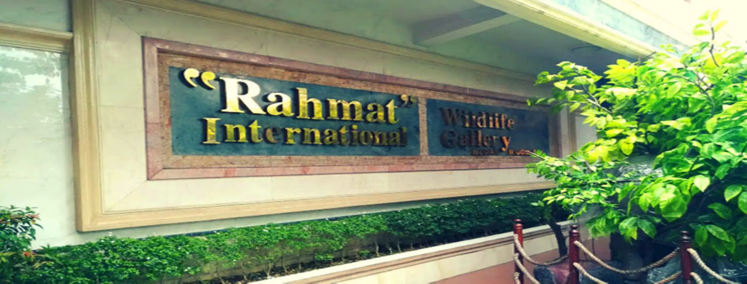 Image for Rahmat International Wildlife Museum & Gallery